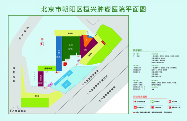 鸡把插进乳房网站北京市朝阳区桓兴肿瘤医院平面图